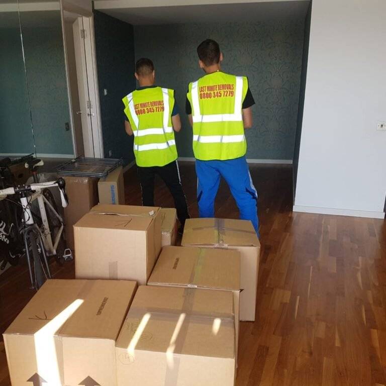 Two man are standing near the packed boxes